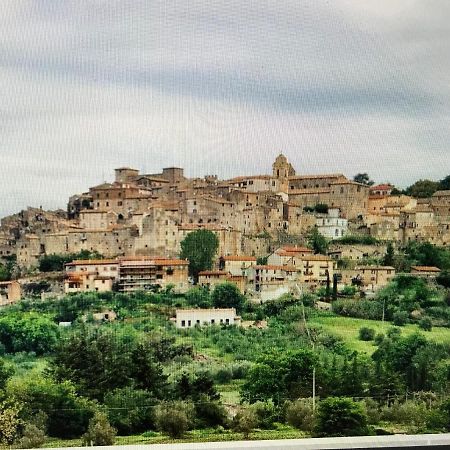 Castiglione In TeverinaCastiglione Apartament You&Me公寓 外观 照片